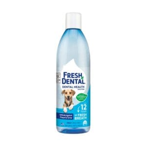 Fresh Dental -Πρόσθετο νερού 532ml
